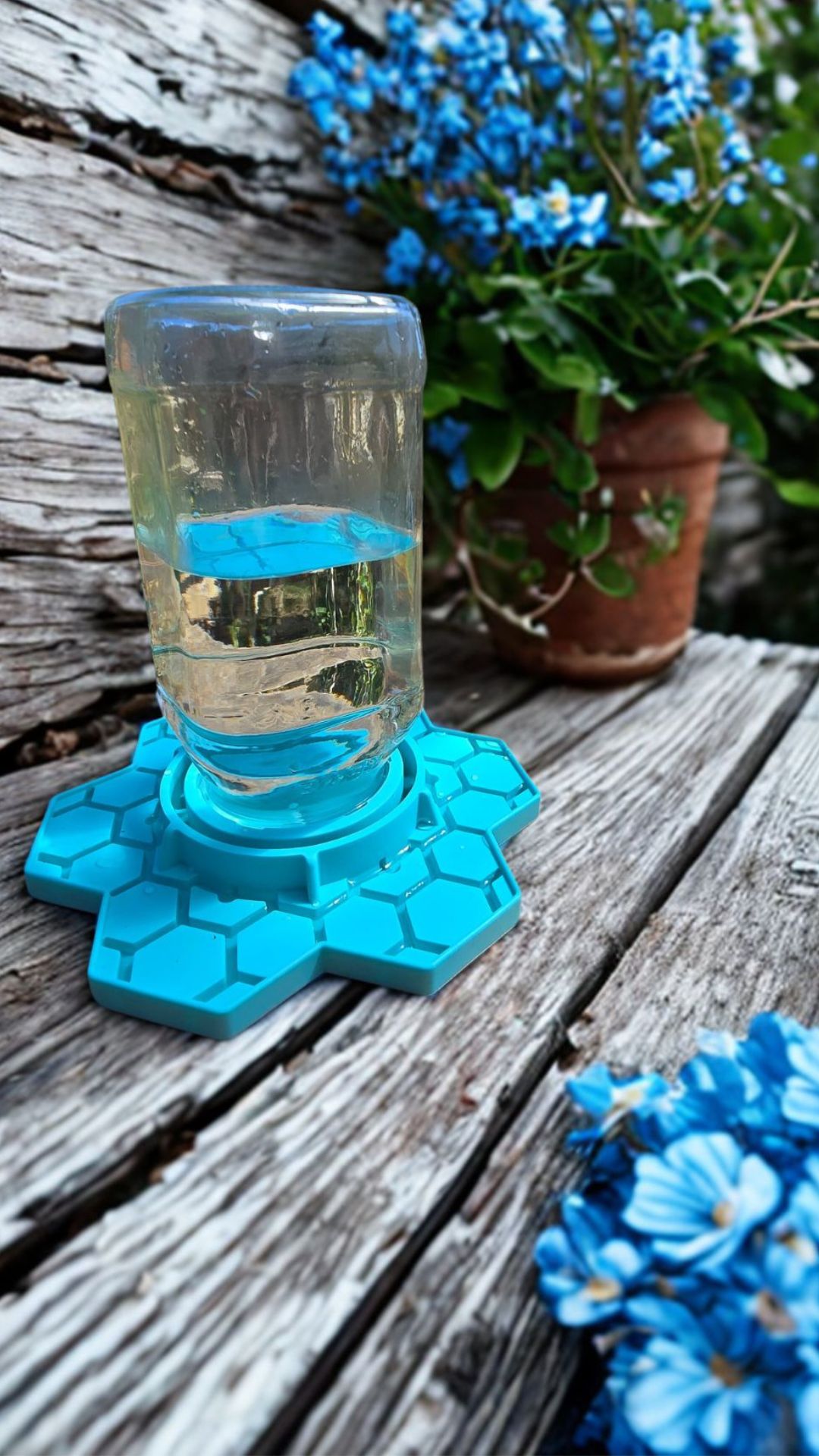 Insectana-Tränke im Einsatz – Foto aus der Community
